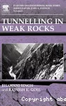 Tunnelling in weak rocks vignette