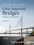 Cable supported bridges vignette