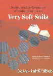 Design and performance of embankments on very soft soils vignette