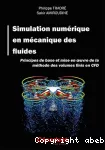 Simulation numérique en mécanique des fluides vignette
