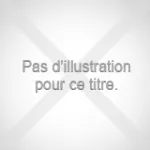 Conception et étude de tablier d'un viaduc V07 du PK17+903 au PK8+384 relevant de la pénétrante de Tizi Ouzou vignette