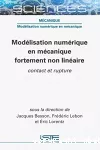 Modélisation numérique en mécanique fortement non linéaire vignette